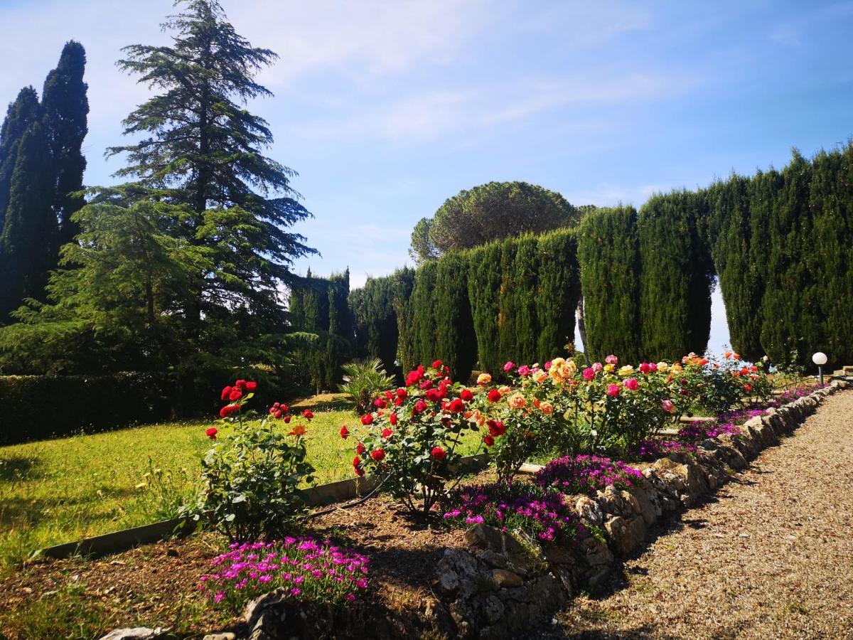 Villa Bellaria Campagnatico ภายนอก รูปภาพ