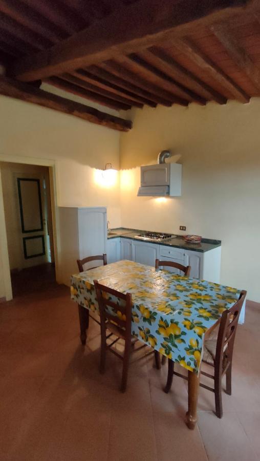 Villa Bellaria Campagnatico ภายนอก รูปภาพ